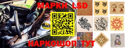 стафф Обь