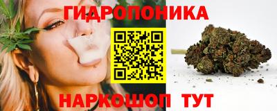 стафф Обь