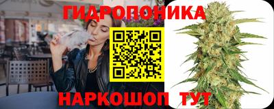 стафф Обь
