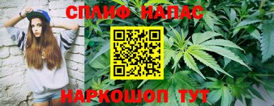 стафф Обь