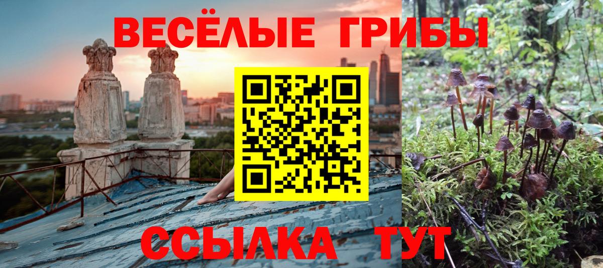Псилоцибиновые грибы Magic Shrooms Строитель
