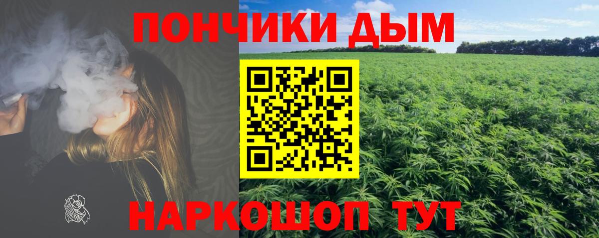 Шишки марихуана план  Марихуана MAZAR  Шишки марихуана ГИДРОПОН  Строитель  Вход с VPN 